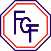 Brazilian Campeonato Goiano logo