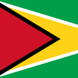 Guyana Elite League logo