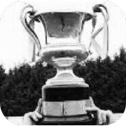 Northern Ireland Milk Cup logo
