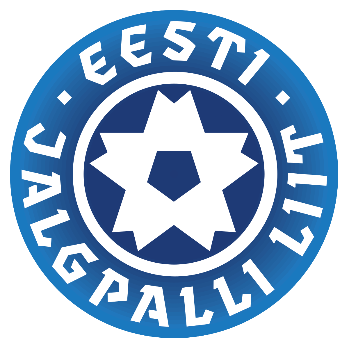 Estonian U19 league logo