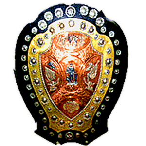 IND IFA Shield League logo