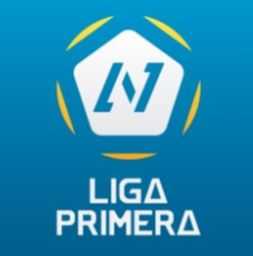 Nicaragua Youth League logo